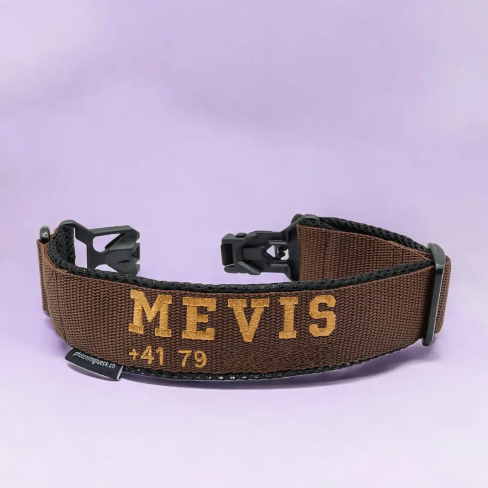 Braunes Hundehalsband mit FIDLOCK® Magnetverschluss und schwarzem Rand, robust und stylisch