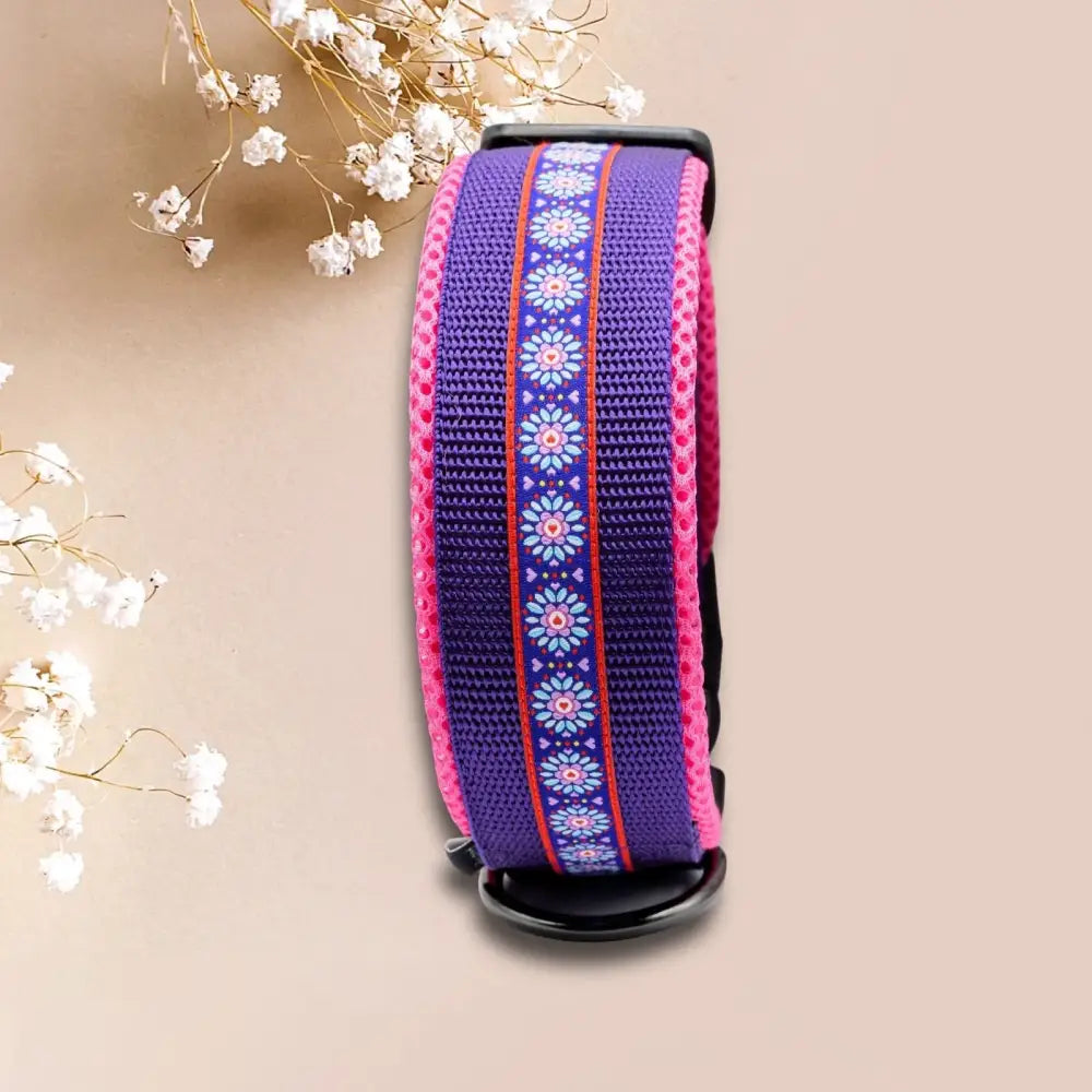 Bunter Hundehalsband mit Webband in lila und pink für einzigartigen Look, perfekt für Hunde