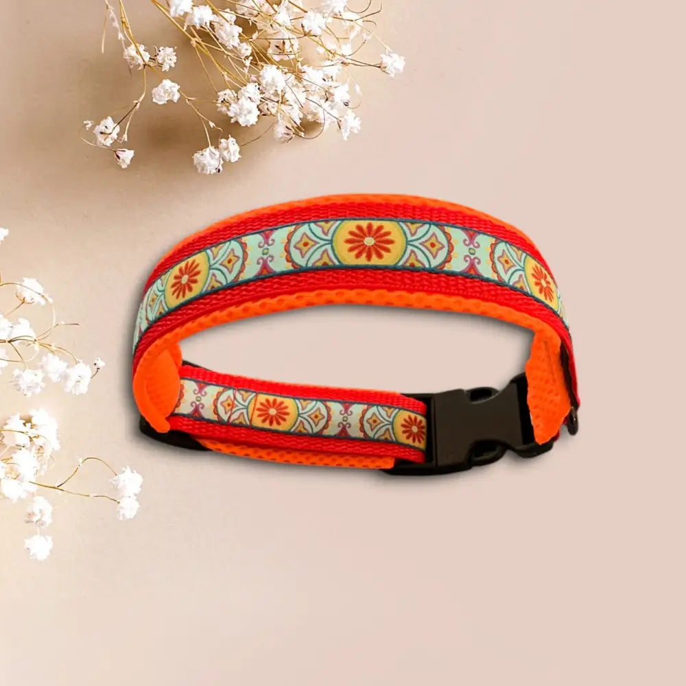 Orange und gemustertes Hundehalsband für einen einzigartigen Look mit Hundespielzeug