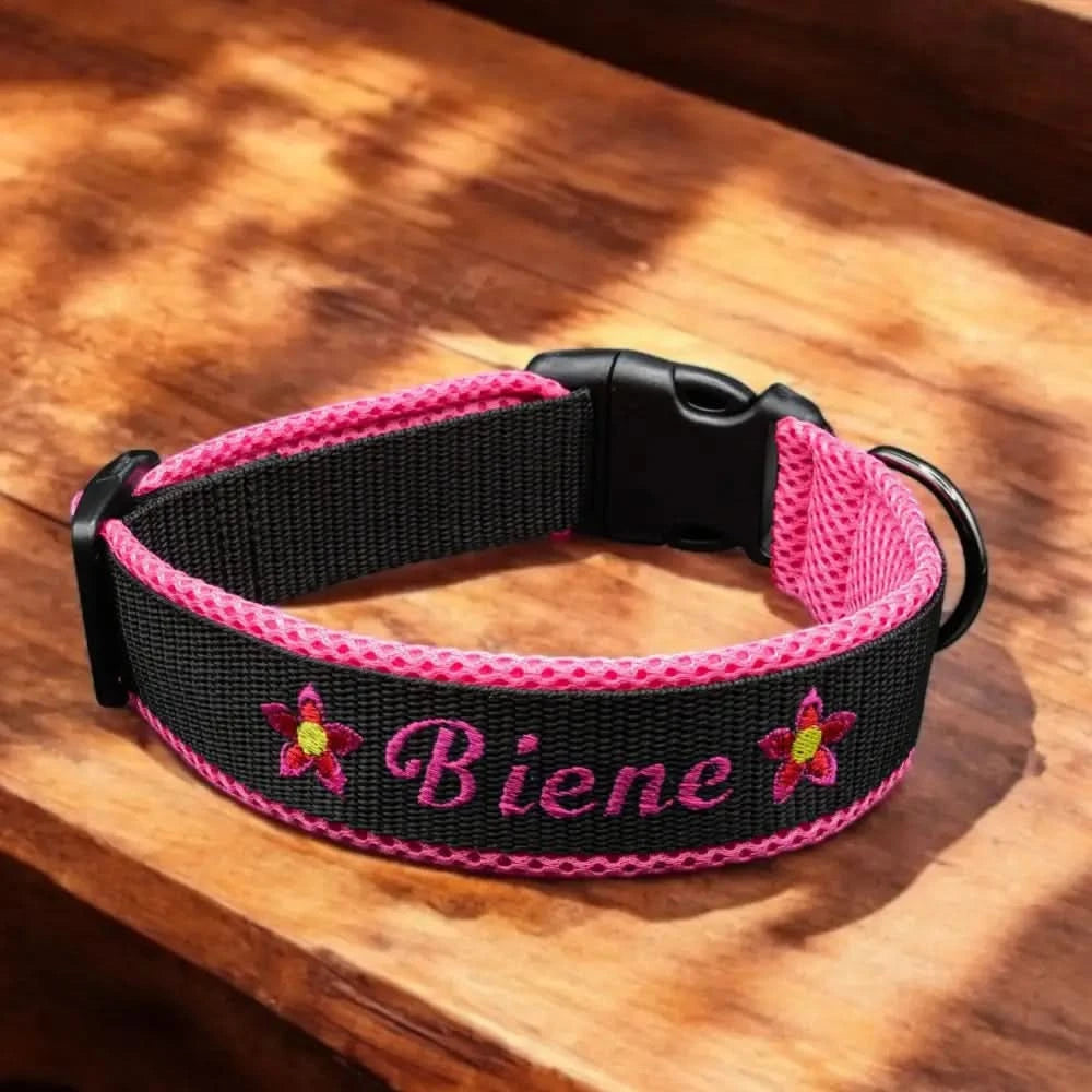 Hundehalsband mit Namen, schwarzes Gurtband mit pinkem Rand und besticktem Schriftzug und Klickverschluss