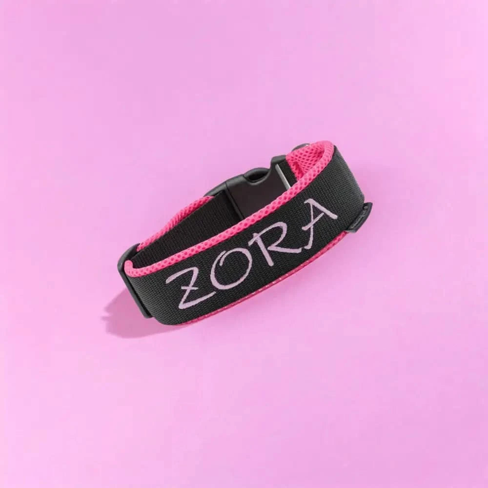 Hundehalsband mit Namen personalisiert, schwarzes Gurtband mit pinker Namensstickerei und Klickverschluss