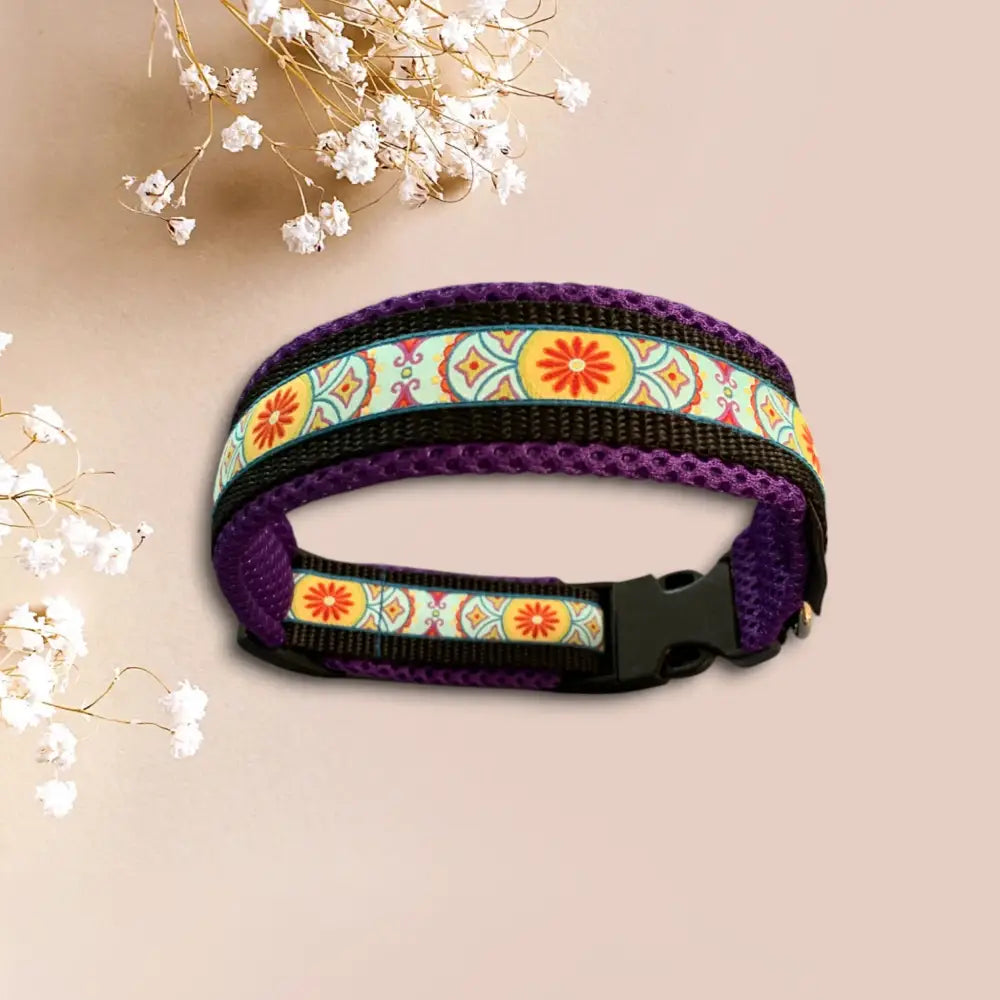 Purple und gemustertes Hundehalsband für einzigartigen Look und Hundespielzeug Style