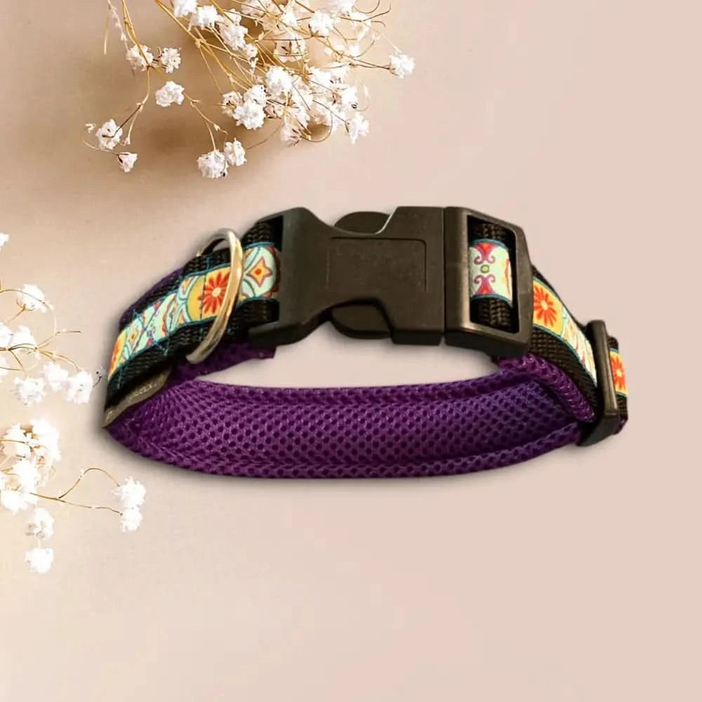 Purple gepolstertes Hundehalsband mit Webband für einzigartigen Look und Hundespielzeug