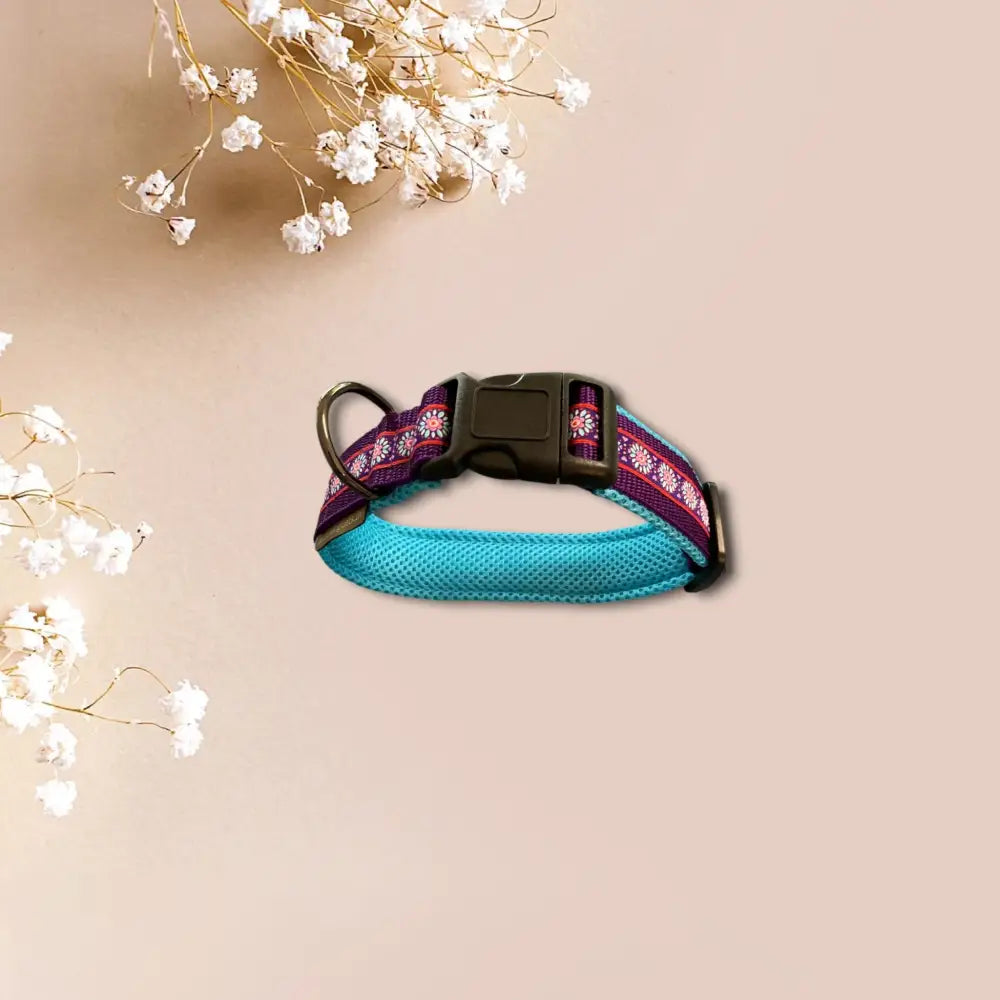 Turquoise und gemustertes Hundehalsband für einzigartigen Look mit Webband Design