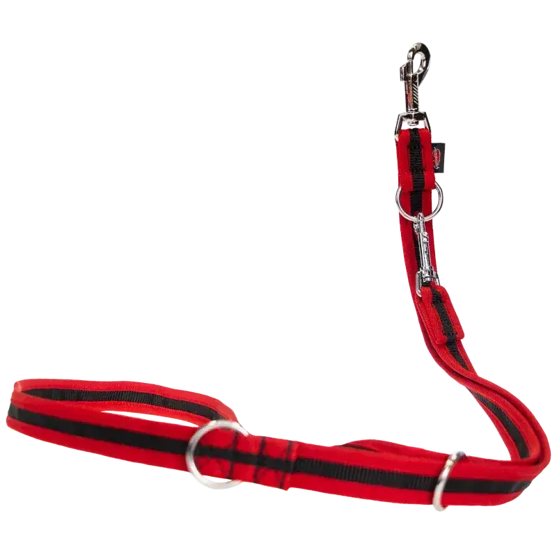Red und schwarz gestreifte Hundeleine eingefasst von Beat Grossenbacher, verschieden breiten