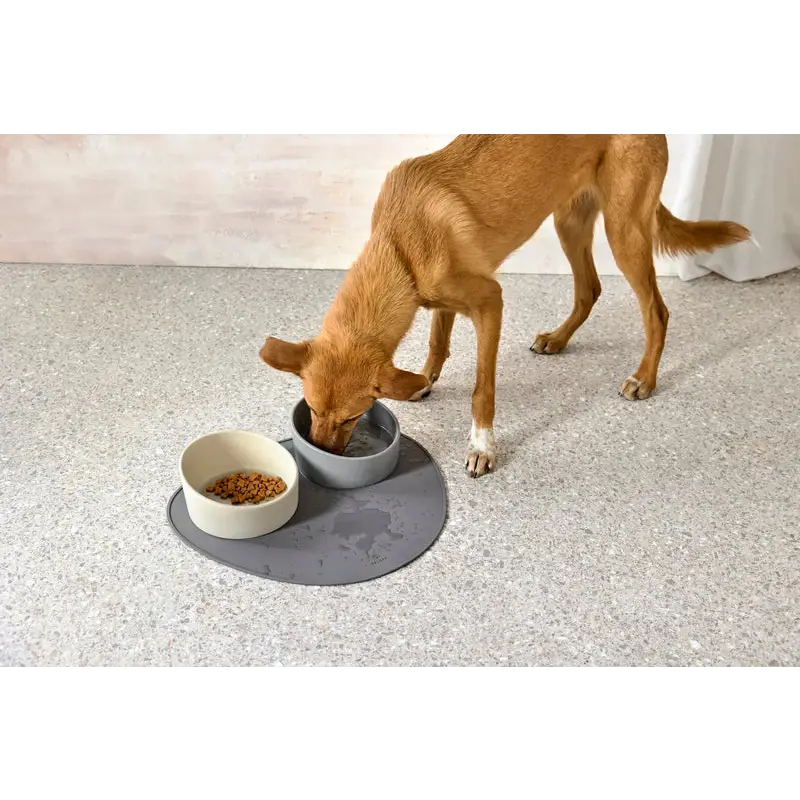 Hundenapf Cali echtes Highlight mit Hundespielzeug auf dunklem Mattenboden