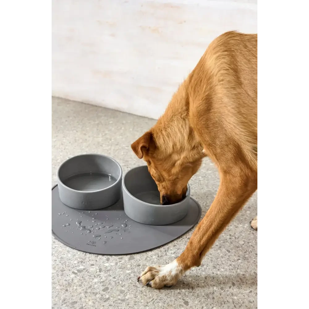 Hundenapf Cali mit braunem Hund, weißer Pfote, auf grauem Mat, echtes Highlight