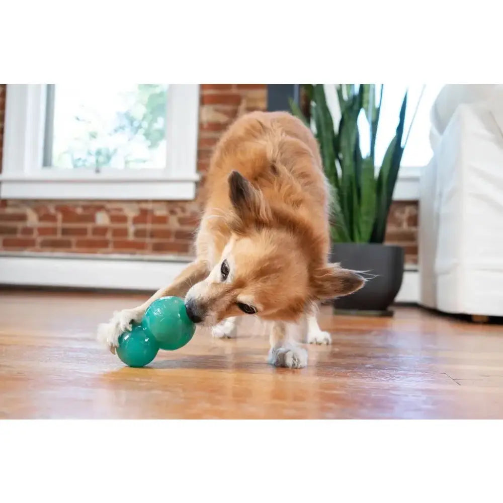 Hundespielzeug Outward Hound Double-Tuff, grüner Kauspielzeug für mentale Herausforderung