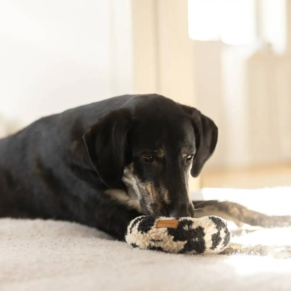 Leo Donut Kuscheliges Knister-Hundespielzeug aus flauschigem Teddystoff, nachhaltiges Hundezubehör