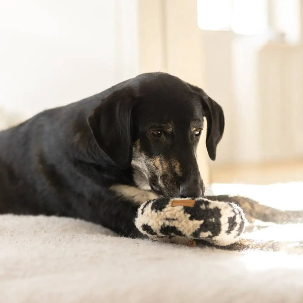 Leo Donut Kuscheliges Knister-Hundespielzeug mit Knistern, nachhaltiges Hundezubehör, flauschiger Teddystoff