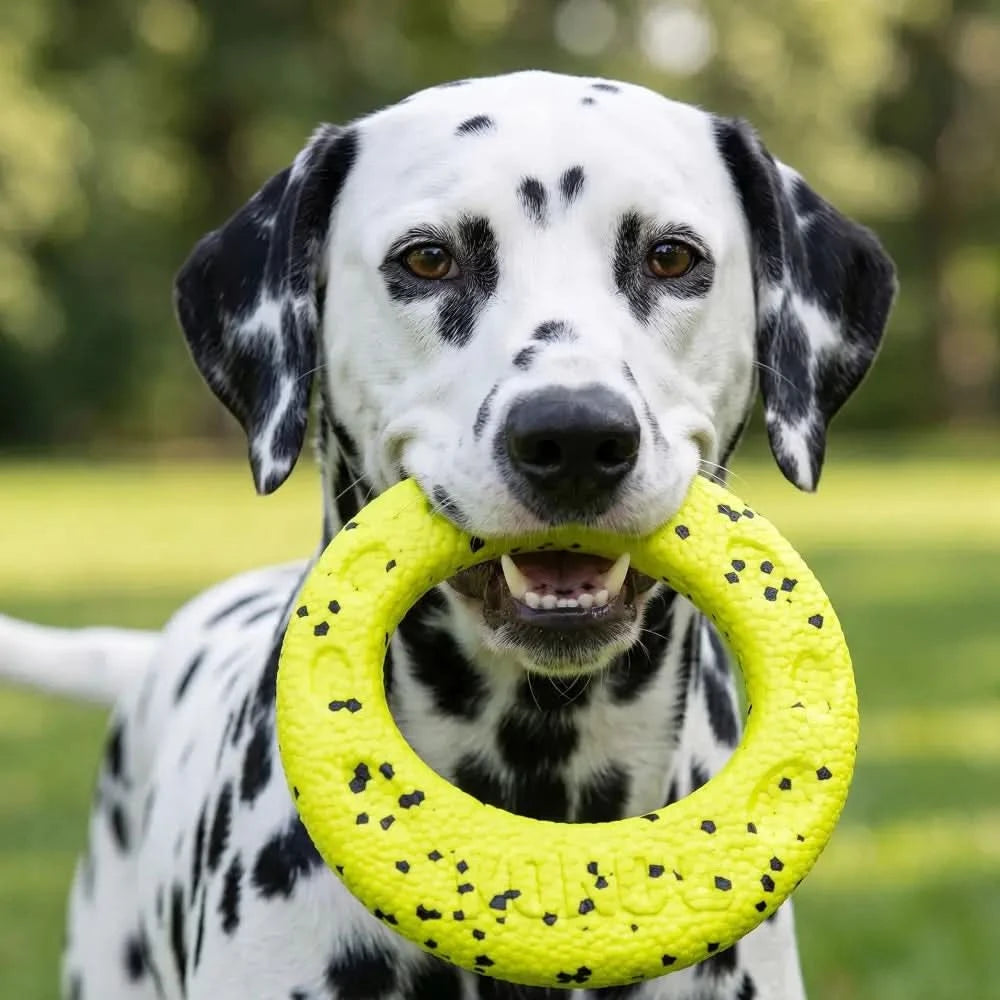 Bright yellow textured rubber kong reflex flyer dog toy with black speckles for active play