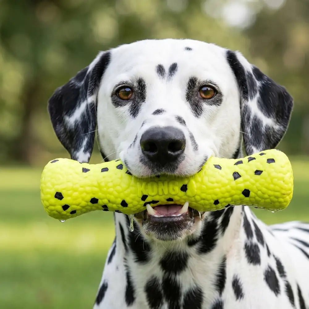 Hellgelber kong reflex stick hundespielzeug in knochenform mit schwarzer struktur und punkten