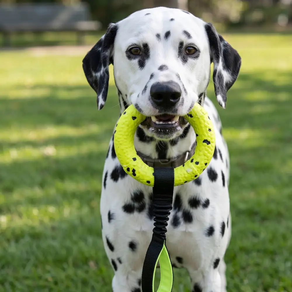 Neongelber kong reflex tug hundespielzeug aus gummi mit schwarzen sprenkeln und leash befestigung