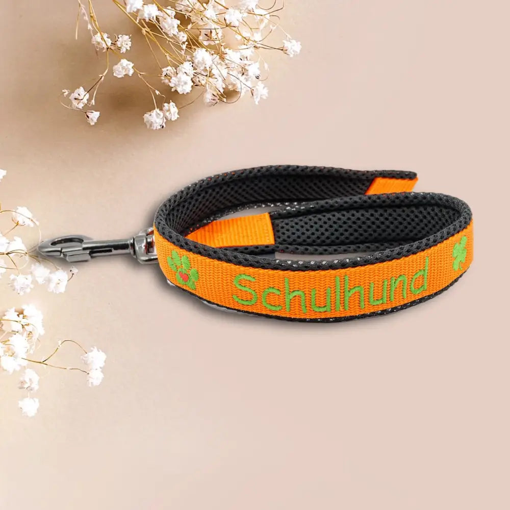 Orange Hundeleine mit grüner Stickerei für persönliche Kurzführerleine mit voller Kontrolle