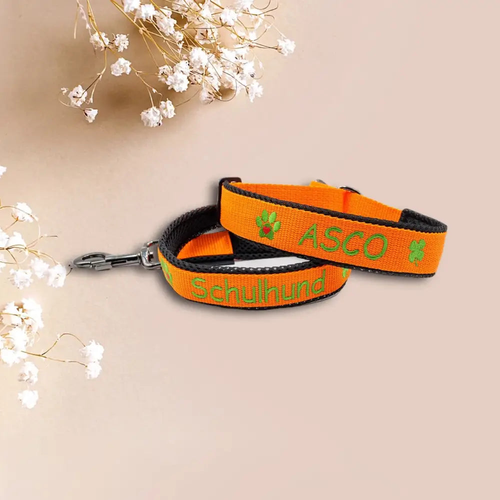 Orange Hundekolllar und Leine Set für volle Kontrolle mit persönliche kurzführerleine