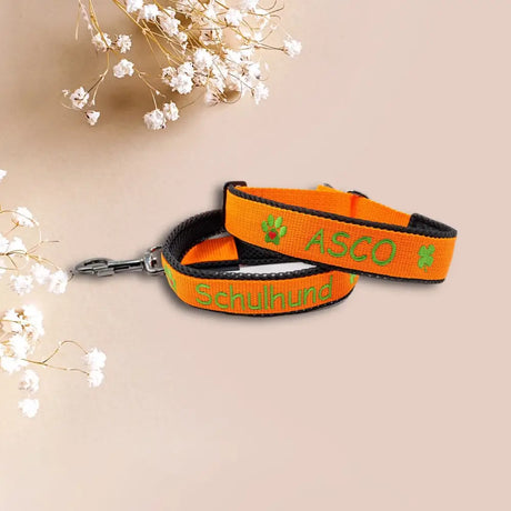 Orange Hundekolllar und Leine Set für volle Kontrolle mit persönliche kurzführerleine