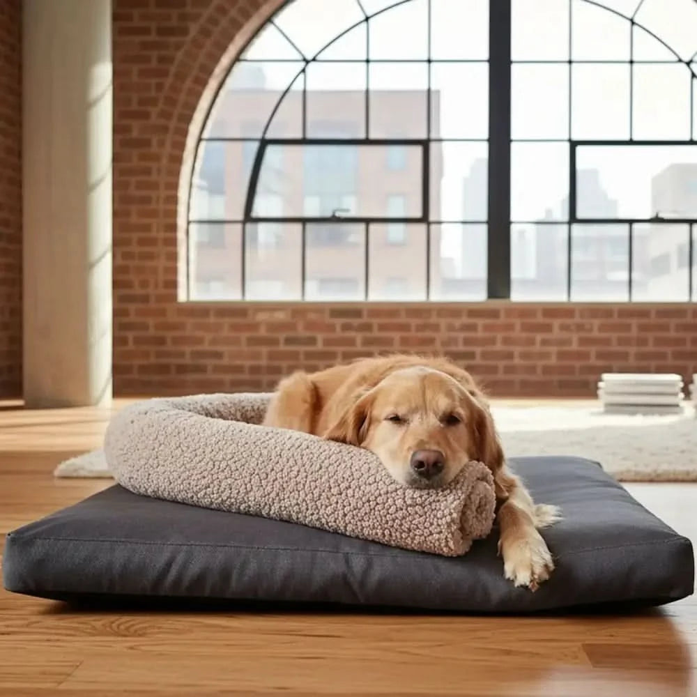 Golden retriever liegt auf dunkelgrauem kuschelkissen mit beigem kuschelrolle snoozle paddy gravel hundespielzeug