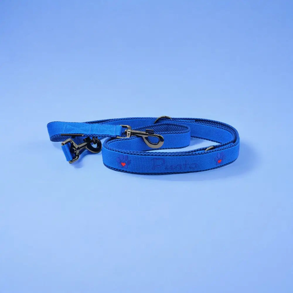 Blaue Leine verstellbar mit goldfarbenen Hardware, perfekt für dein Design Leine 3-fach verstellbar