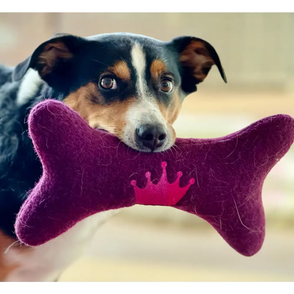 Buntes nachhaltiges Hundespielzeug Königsknochen mit pinkem Kronen-Emblem