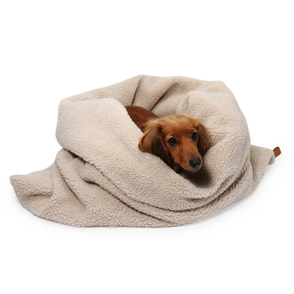 Kuschelsack 4-in-1 Kuschelhöhle für Hunde in beigem Teddy-Material mit Schmusedecke für Geborgenheit