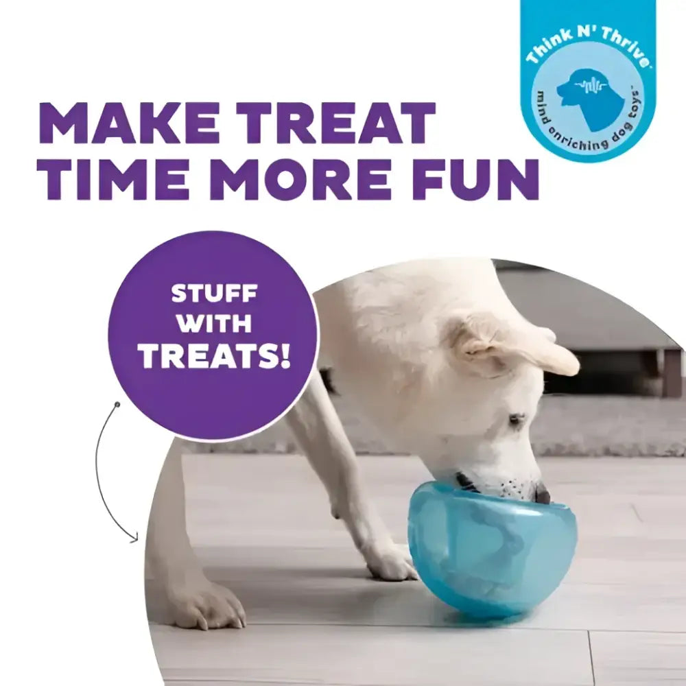 Hund genießt das interaktives leckerli-spielzeug Outward Hound Orbee-Tuff Snoop