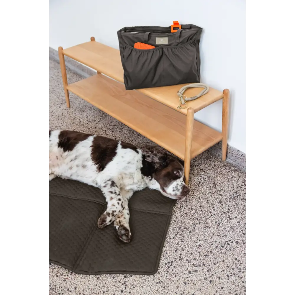 Brauner und weißer Hund auf dunklem Mat mit Palopa Organizer Tasche Jari, idealer dog travel bag