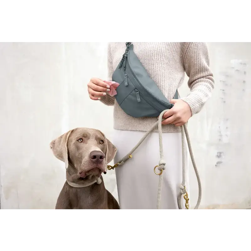 Weimaraner Hund mit Leine neben Person mit Palopa Snack Tasche Emma Bum Bag