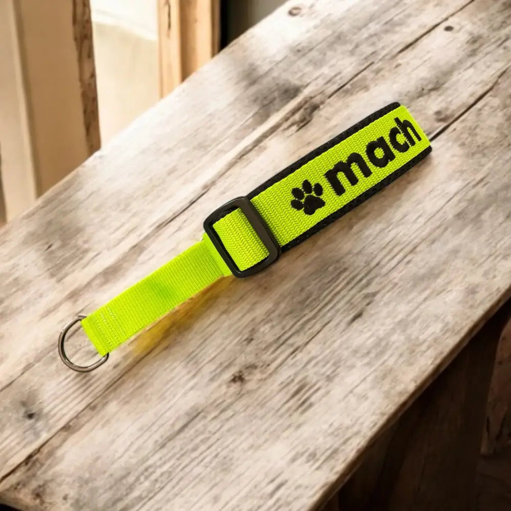 Neon gelbes zugstopp halsband für Hunde, perfekt als hundehalsband oder hundespielzeug