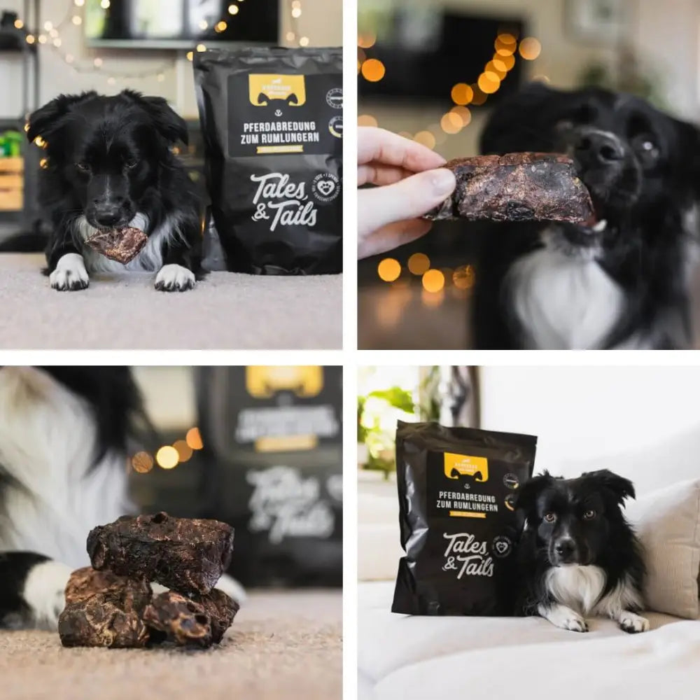 Tales & Tails PferdeLunge Rummeln exklusive Delikasse für treuen Begleiter