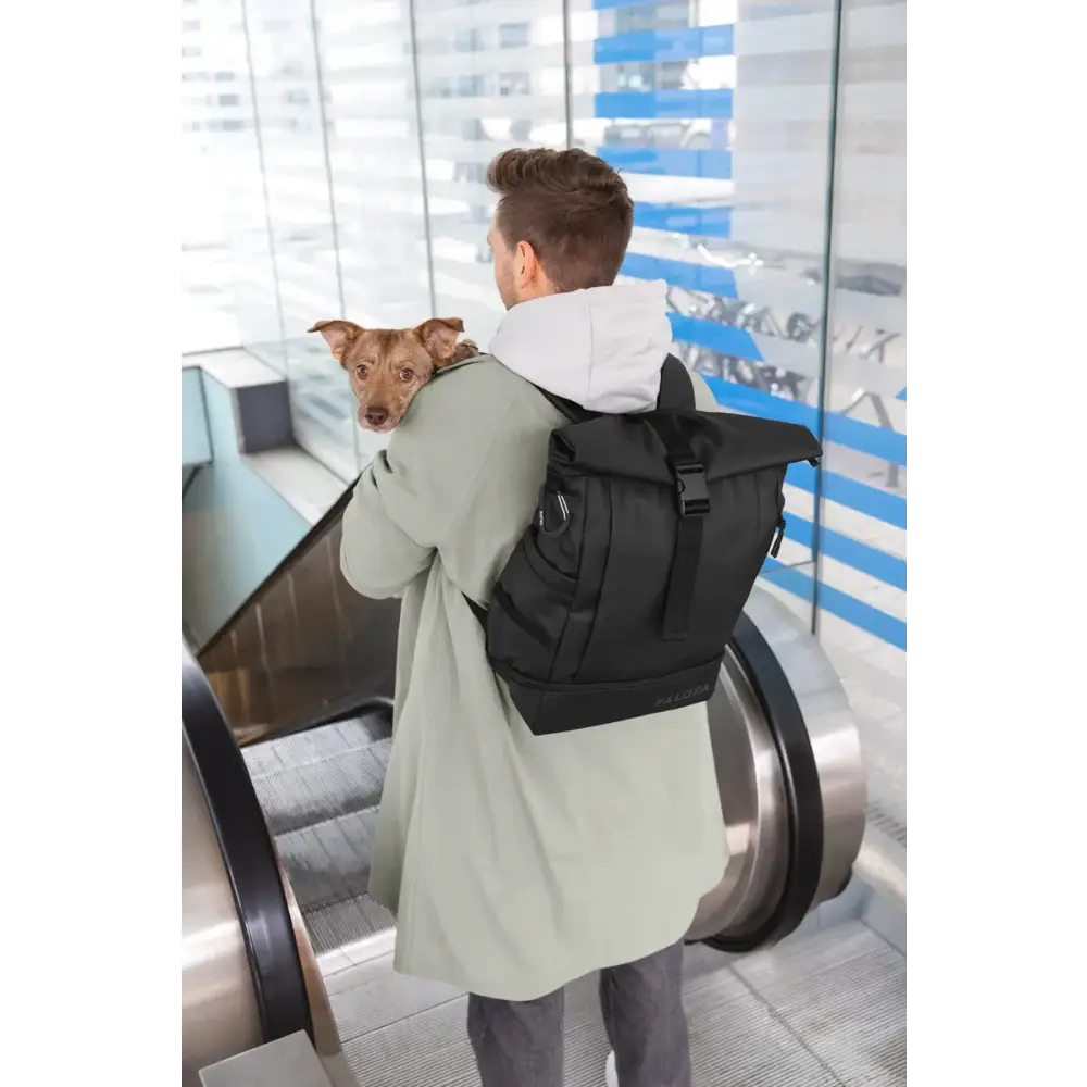 Mann mit Rolltop Rucksack Yoska und Hund auf Rolltreppe unterwegs