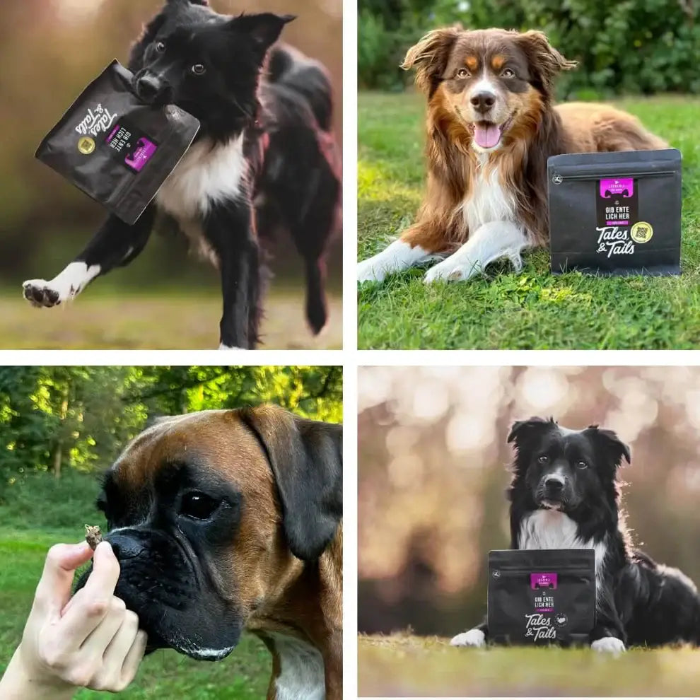 Schwarze Tales & Tails EnteLich Her Dog Food mit lila Etikett