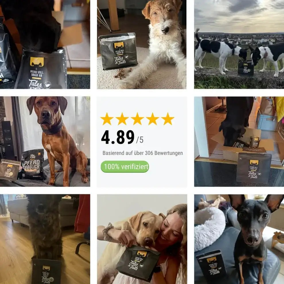 Schwarze Tales from the Falls Dog Food Tüte mit pferd voll Pferdefleisch Leckerli