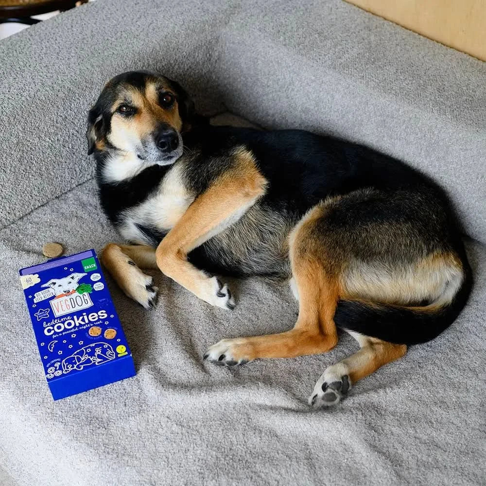 Blaue vegdog bedtime cookies box für hunde mit 400 gramm vegdog bedtime keksen für entspannte nächte