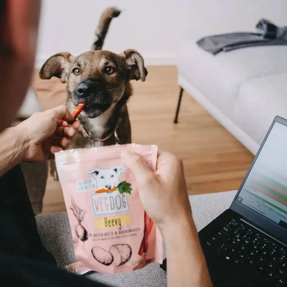 Pink pouch von beevys 80 g vegdog hundeleckerlis mit cartoon weißem hund und gemüseillustrationen für hundspaß