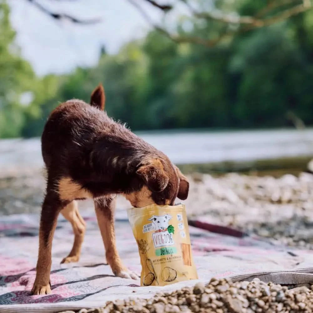 Ein gelber beutel vegdog jerkeys hundeleckerlis jerky geschmack mit einer cartoon hundeillustration für gesunde belohnung