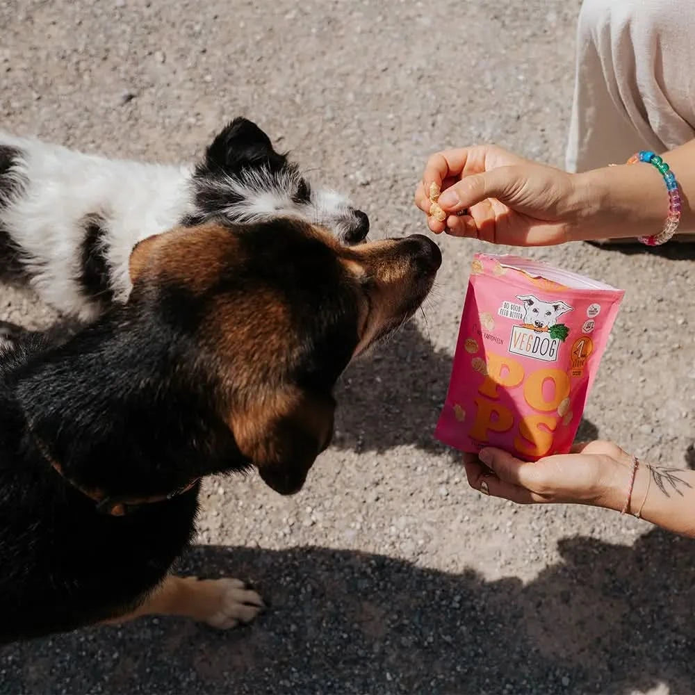 Pink pouch mit verdog hundepops hundeleckerlis 20 g mit cartoon hund logo und orangenen lettern für hundespielzeug