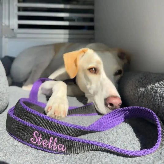 Violetter und schwarzer gewebter Hundeleinen mit pink gesticktem Namen 'Stella'.