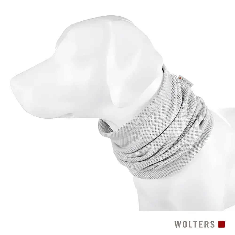 Grauer Wolters Watchout Kühlschal für Hunde auf Hundemodell, perfekt für kalte Tage