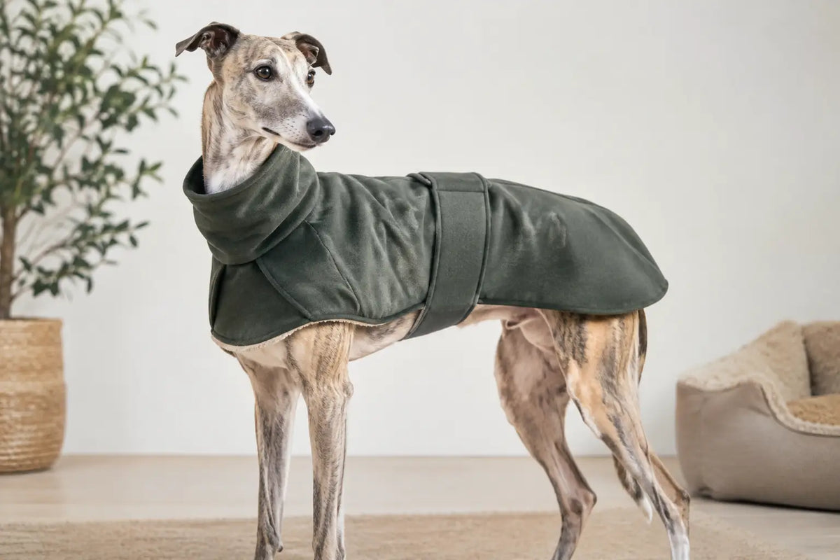 Massanfertigung für schmale Windhunde