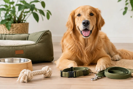 Nachhaltige Materialien im Hundezubehör sinnvoll wählen
