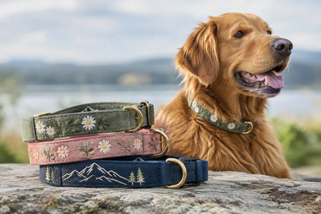 Wie haltbar sind bestickte Halsbänder wirklich?