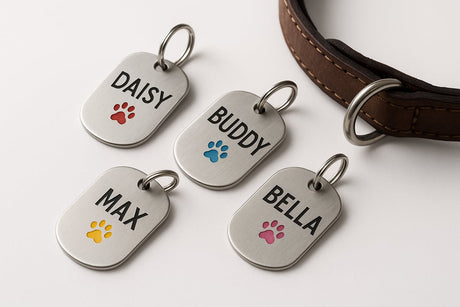 Hunde Tags - Alles Wichtige Für Deinen Vierbeiner