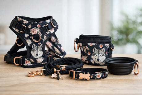 Beispiel für individuelles Hundeset