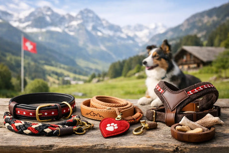 Handgemachtes Hundezubehör Schweiz wählen