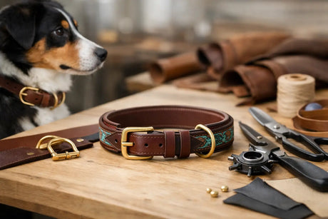 Hundehalsband nach Mass anfertigen lassen