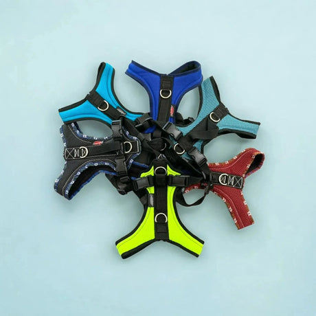 Bunte Hundegeschirre aus der Hochwertige Beat Grossenbacher Kollektion