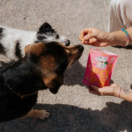 Veggie Hundesnacks & Belohnungen – Natürlich lecker