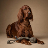 L'floof Rope Tug Toy robustes Tau-Hundespielzeug aus Baumwolle in braun mit rutschfesten Griffen