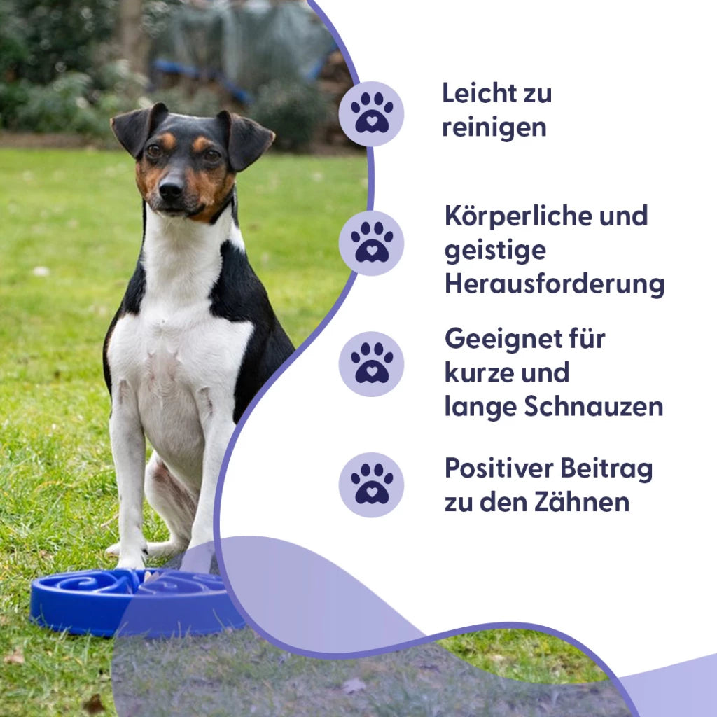 Blaue kreisförmige Slow-Feedernapf Eat Slow Live Longer für Hunde