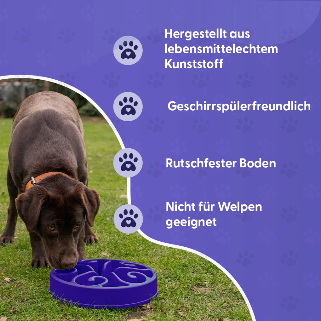 Lilaer Eat Slow Live Longer Anti Schling-Napf für langsames Fressen deines Hundes